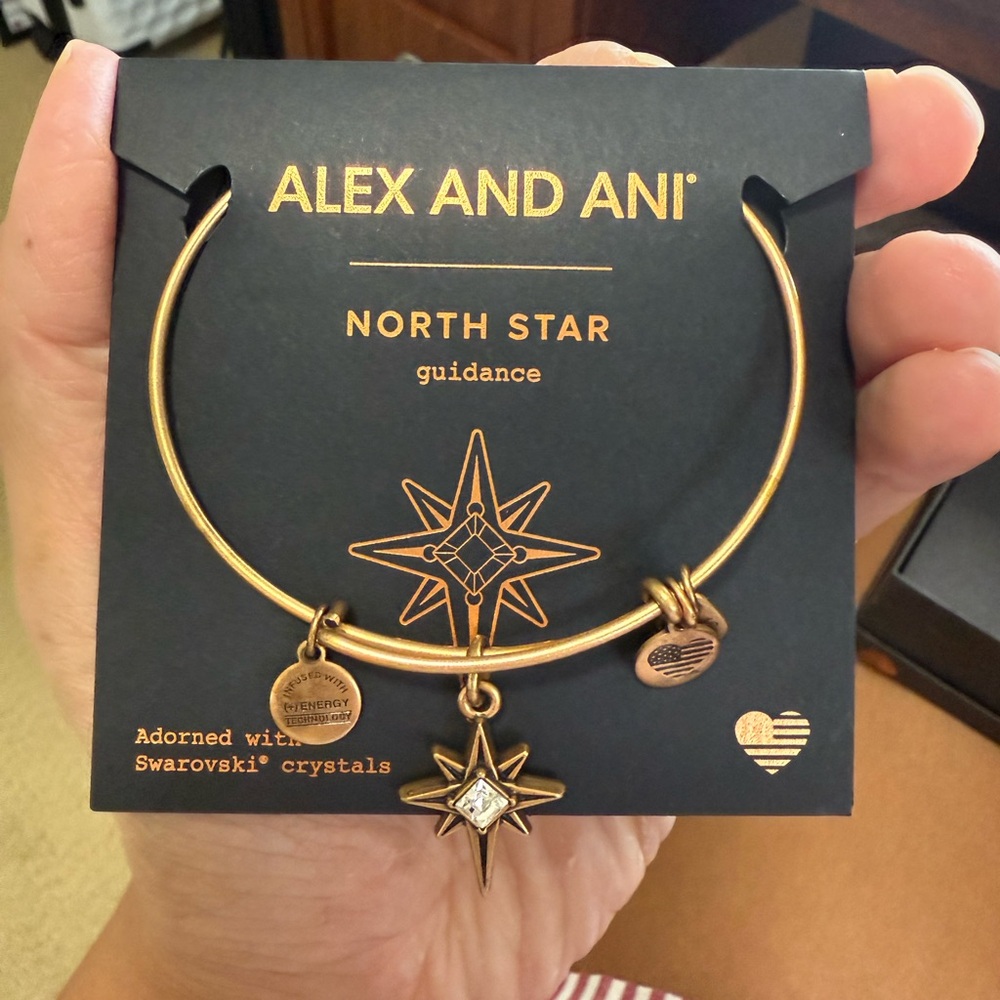 Alex and Ani Gold North Star Charm Bracelet
